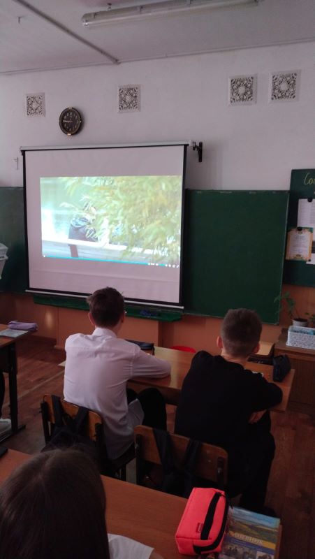 Изображения.
